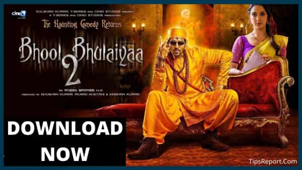 Bhool Bhulaiyaa 2 Download