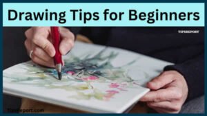 Drawing Tips for Beginners